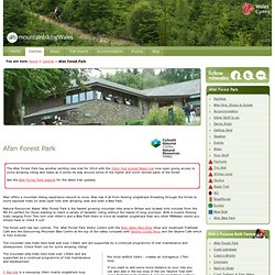 Afan Forest Park Mountain Bike Centre - Advice & Guides at MBWales.com