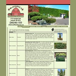 McAuliffe' s Valley Nursery - Snohomish, WA- Conifers, Shrubs and Grasses - McAuliffe's Valley Nursery