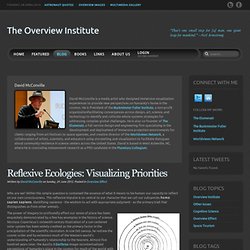 David McConville - The Overview Institute