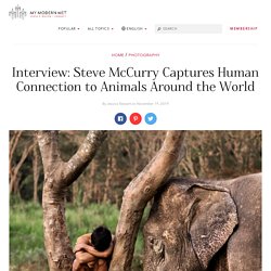 Steve McCurry Shares the Secrets Behind "Animals"