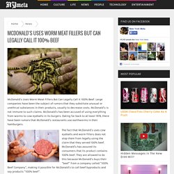 McDonald’s Uses Worm Meat Fillers But Can Legally Call It 100% Beef - NY Meta