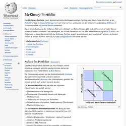 McKinsey-Portfolio