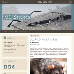 Get Rid Of Mice And Rats - MDKServices : powered by Doodlekit