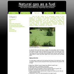 MDP Project: Natural Gas as a fuel