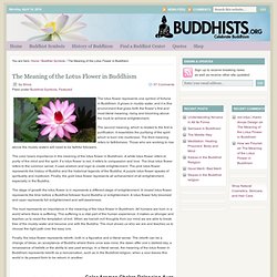 The Meaning of the Lotus Flower in Buddhism