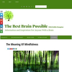 The Meaning Of Mindfulness - The best brain possible