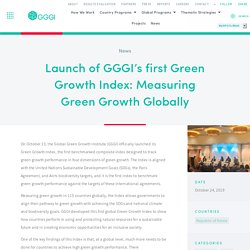 Launch of GGGI’s first Green Growth Index: Measuring Green Growth Globally — Global Green Growth Institute