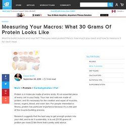 Measuring Your Macros: What 30 Grams Of Protein Looks Like