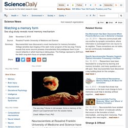Watching a memory form: Sea slug study reveals novel memory mechanism