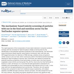 The Mechanism-Based Toxicity Screening of Particles With Use in the Food and Nutrition Sector via the ToxTracker Reporter System - PubMed