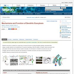 Neuron - Mechanisms and Function of Dendritic Exocytosis
