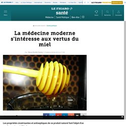 La médecine moderne s'intéresse aux vertus du miel