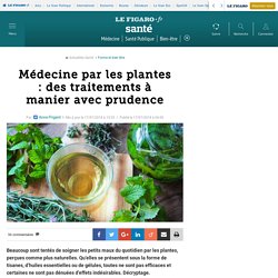 Médecine par les plantes : des traitements à manier avec prudence 