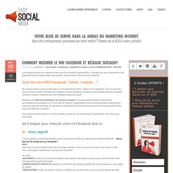 Easy Social MediaComment mesurer le ROI Facebook et réseaux sociaux?