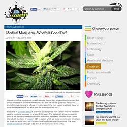 Medical Marijuana - What’s It Good For?