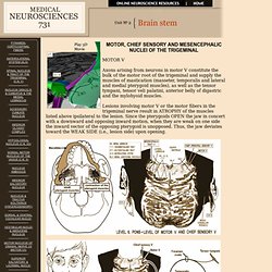 Medical Neurosciences