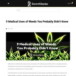 9 Medical Uses of Weeds You Probably Didn't Know - Secret Smoke