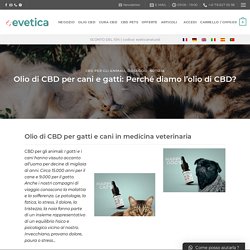 Medicina veterinaria: Perché l'olio di CBD per cani e gatti?