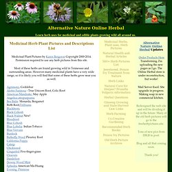 Medicinal Herbs, Wild herbs, Medicinal plants, Herb Pictures