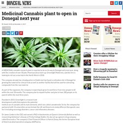 Medicinal Cannabis plant to open in Donegal next year - Donegal News