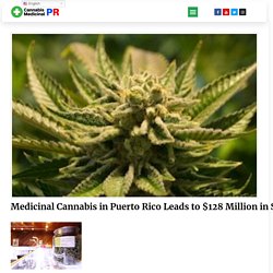 Find legal marijuana in Puerto Rico