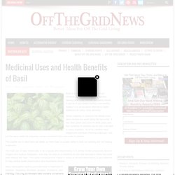 Medicinal Uses and Health Benefits of Basil