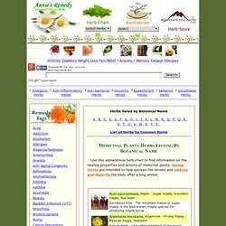 Medicinal Herbs Plants Uses