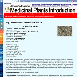 medicinal plants introduction thesis