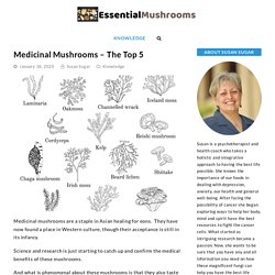 Medicinal Mushrooms - The Top 5 - Essential Mushrooms