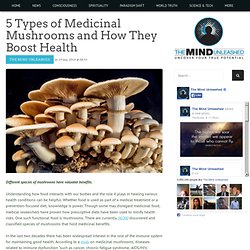 5 Types of Medicinal Mushrooms and How They Boost Health