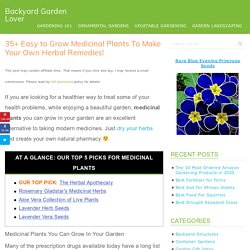 35 Medicinal Plants You Can Grow In Your Garden