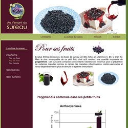 Sureau - Plante médicinale. Jus de sureau - Baies de sureau - Antiviral naturel.