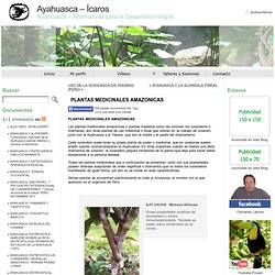 PLANTAS MEDICINALES AMAZONICAS