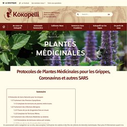 Protocoles de Plantes Médicinales pour les Grippes, Coronavirus et autres SARS - Le blog de Kokopelli