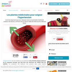 Les plantes médicinales pour soigner l’hypertension