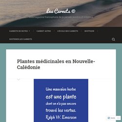 Plantes médicinales en Nouvelle-Calédonie – Les Carnets ©