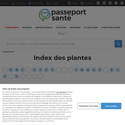 Plantes médicinales – Recettes – Cueillette - PasseportSanté.net