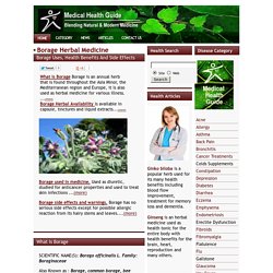 Borage, Herbal Medicine - Uses, Health Benefits, Side Effects, Warnings