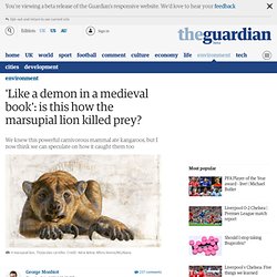 'Like a demon in a medieval book': is this how the marsupial lion killed prey?