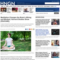 Meditation Changes the Brain’s Wiring and Mindset, Harvard Studies Show [FEATURE] : Life&Style