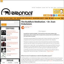 The Buddha's Meditation. ~ Dr. Evan Finkelstein