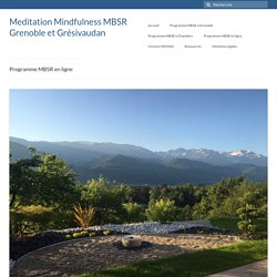 Programme MBSR en ligne Meditation Mindfulness