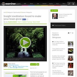 Insight meditation found to make your brain grow - National Zen Buddhism