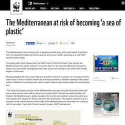 WWF 08/06/18 INFOGRAPHIE - The Mediterranean at risk of becoming ‘a sea of plastic’