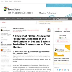 FRONT. MAR. SCI 23/05/18 A Review of Plastic-Associated Pressures: Cetaceans of the Mediterranean Sea and Eastern Australian Shearwaters as Case Studies
