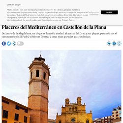 Placeres del Mediterráneo en Castellón de la Plana