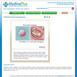 First trimester of pregnancy: MedlinePlus Medical Encyclopedia Image
