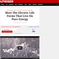 Meet The Electric Life Forms That Live On Pure Energy