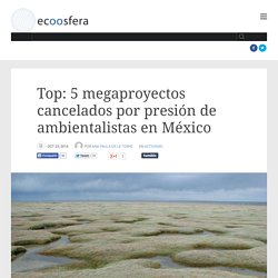 Top: 5 megaproyectos cancelados por presión de ambientalistas en México