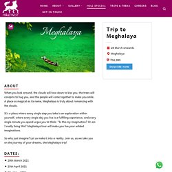 Meghalaya Trip & Tour Packages